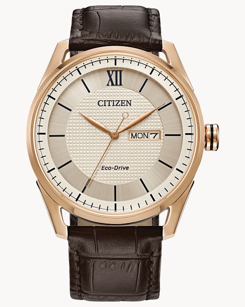 Men's CITIZEN Classic